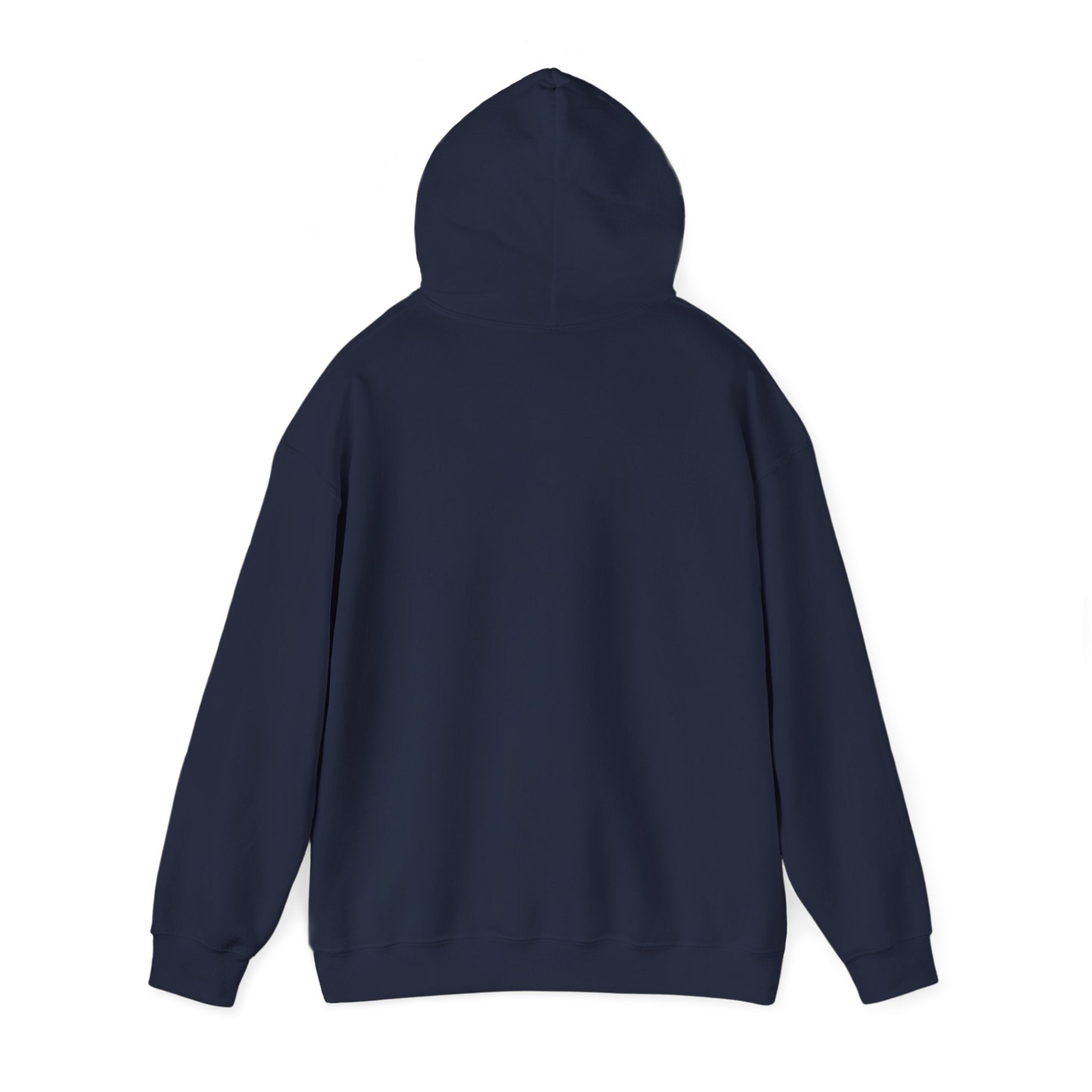 Hoodie — 'Ain't No Choice' Retro Fist Protest Graphic Pullover