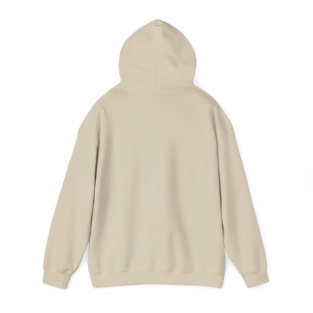 Three-Panel Fleece Hoodie