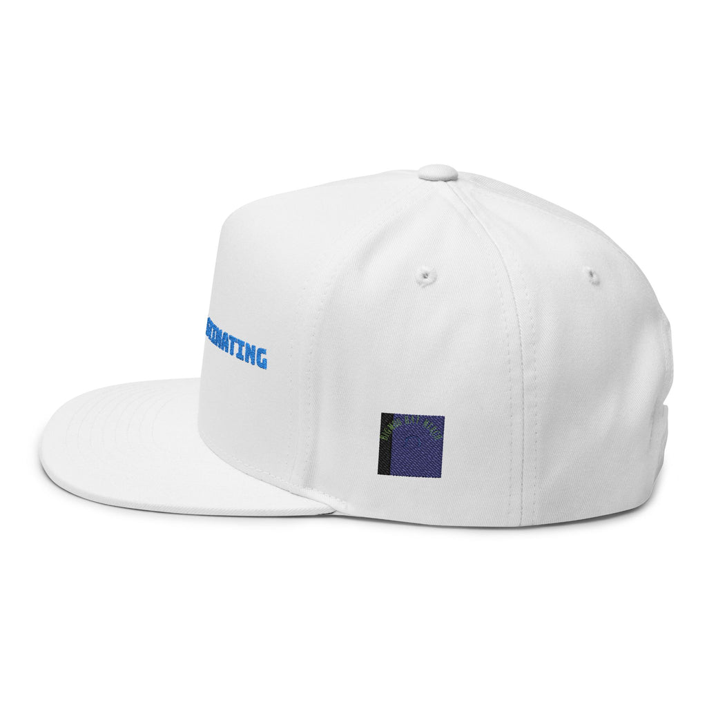 Flat Bill Cap - "Stop Procrastinating" | Trendy Unisex Hat, Casual Wear, Gift for Students, Motivational Apparel, Street Style