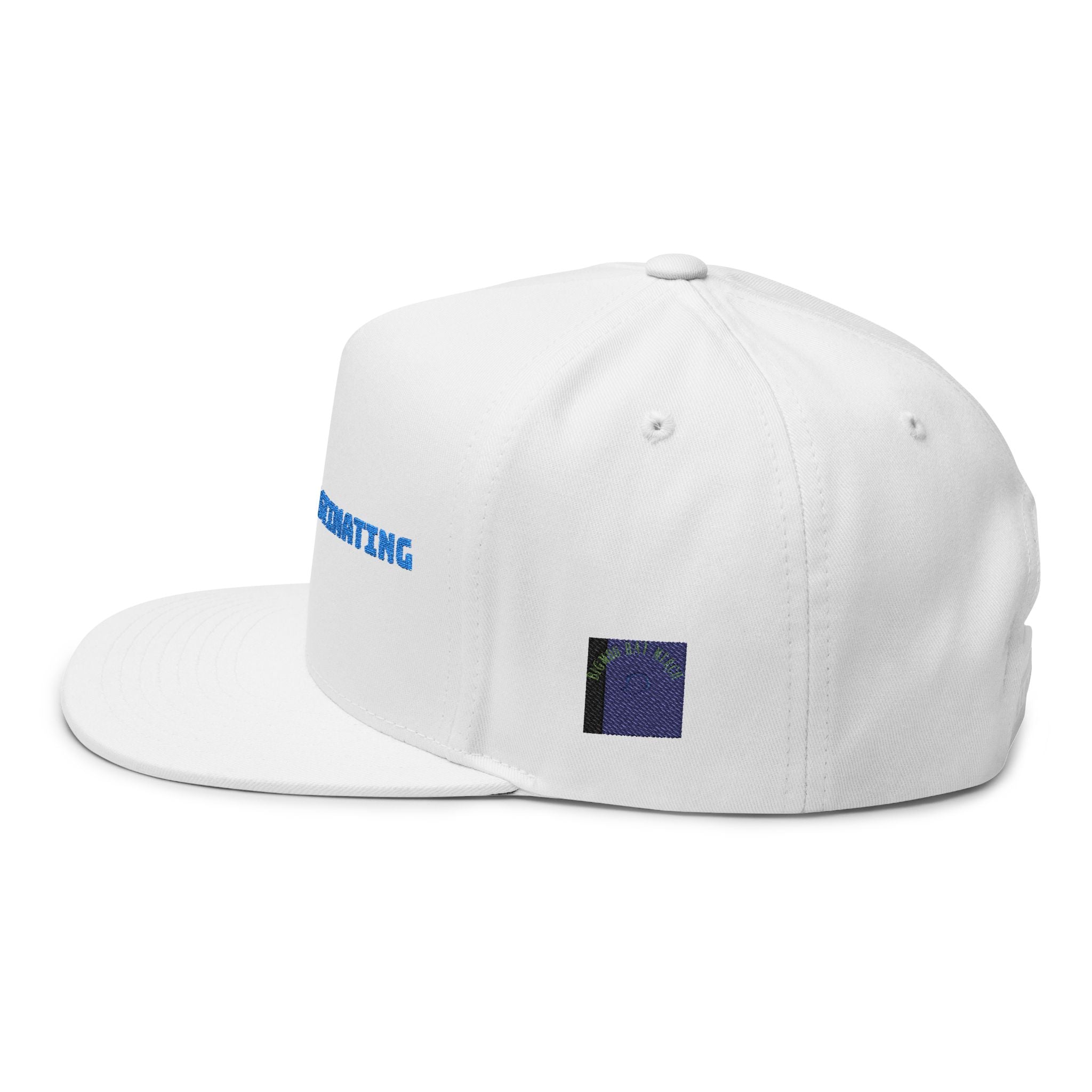 Flat Bill Cap - "Stop Procrastinating" | Trendy Unisex Hat, Casual Wear, Gift for Students, Motivational Apparel, Street Style