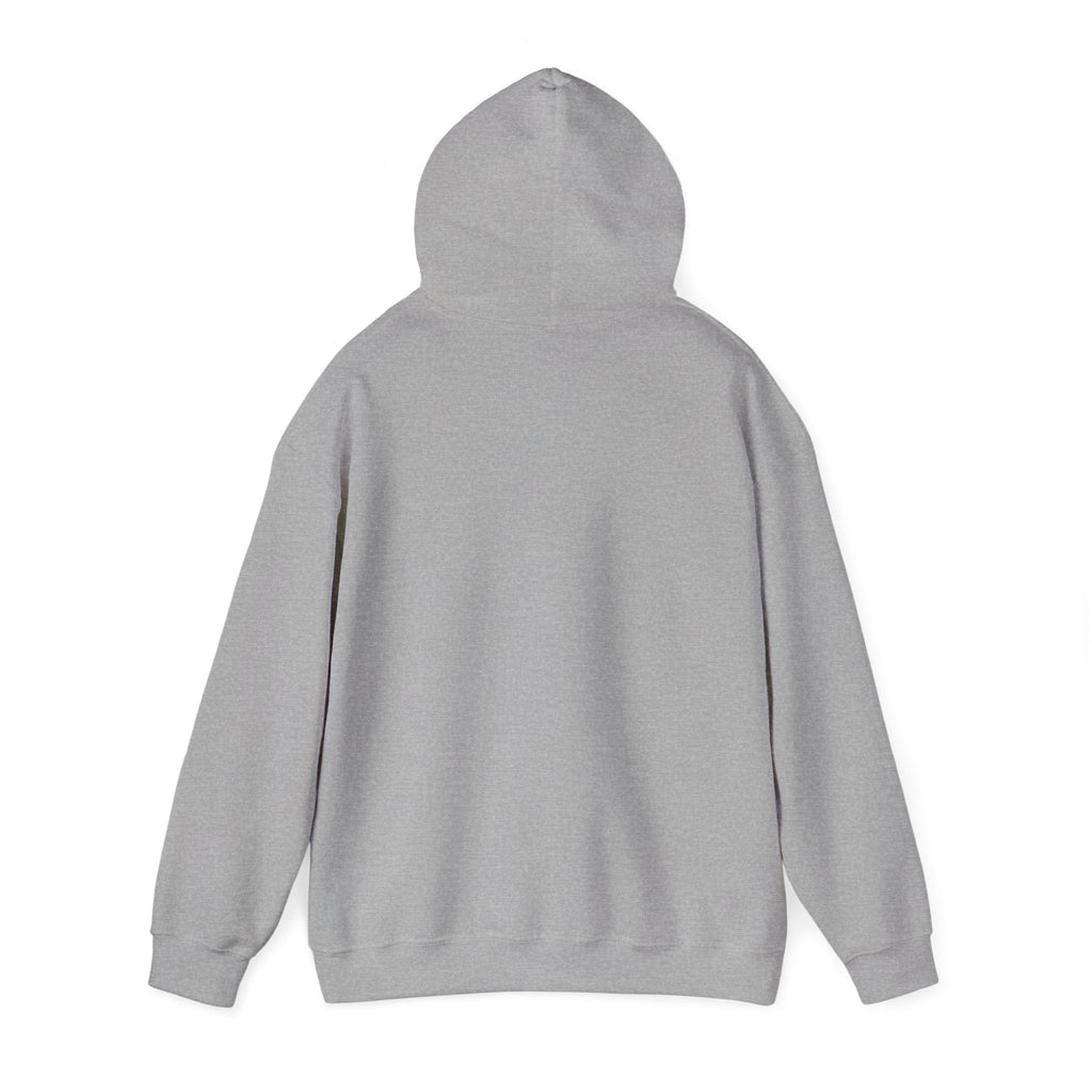 Hoodie — “Doubts Kill Dreams More Than Ever” Inspirational Motivational Pullover