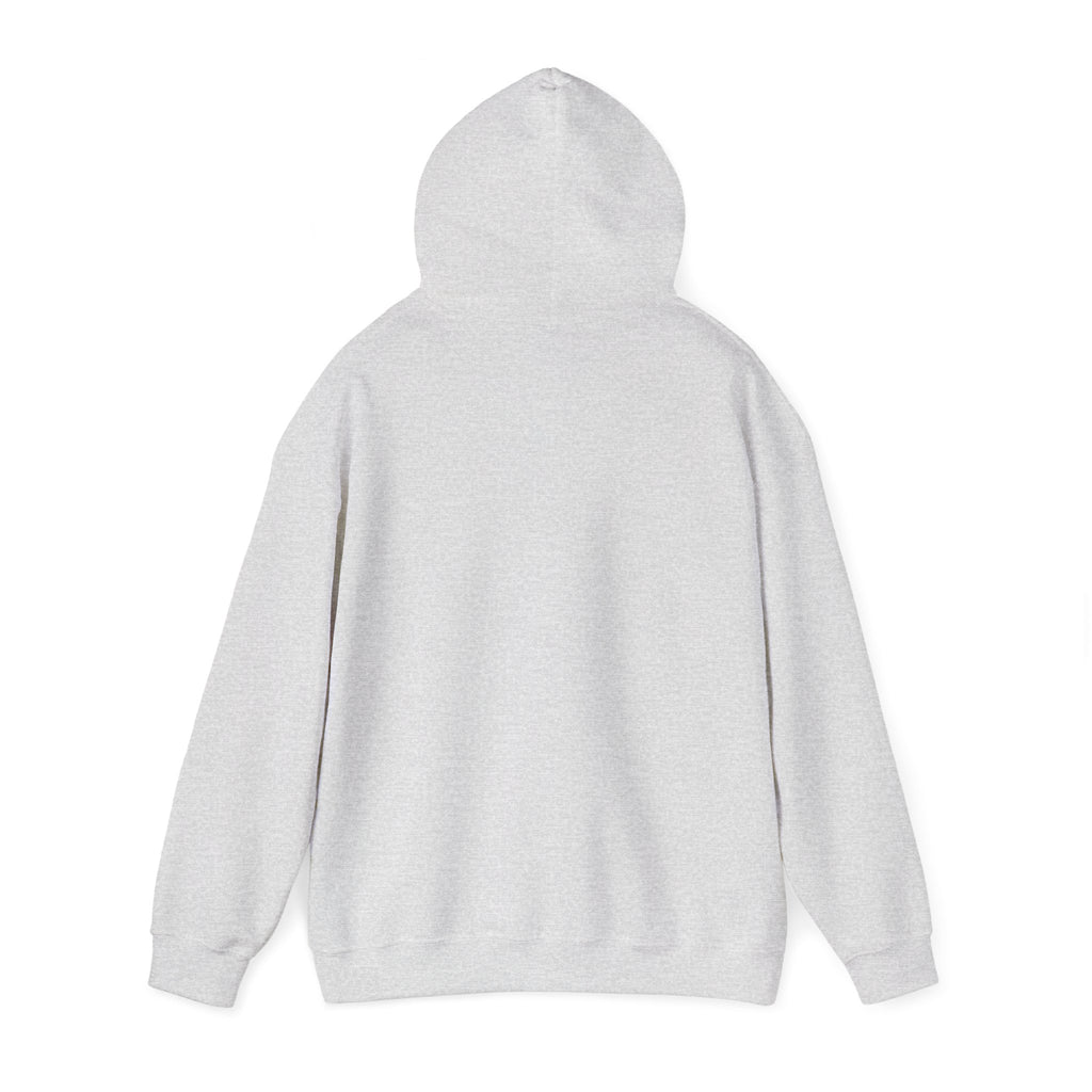 Three-Panel Fleece Hoodie