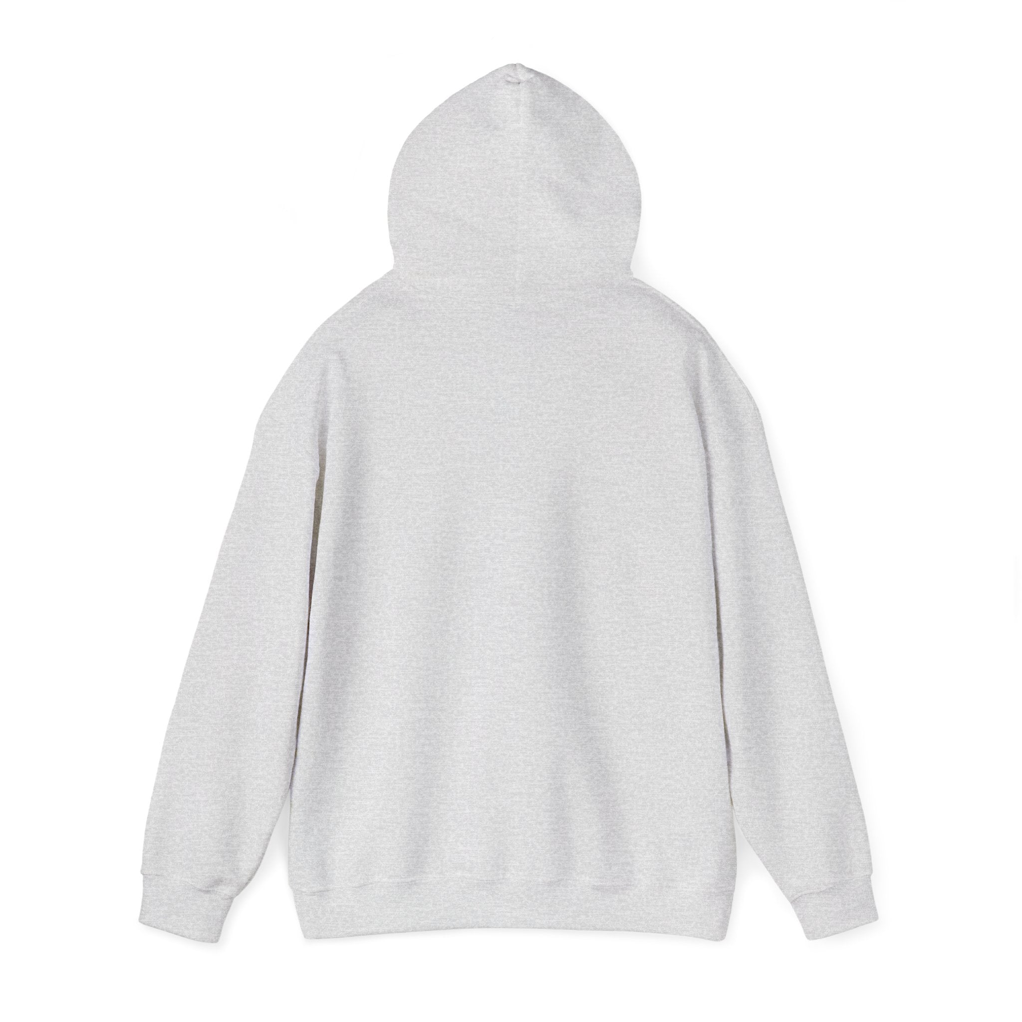 Three-Panel Fleece Hoodie