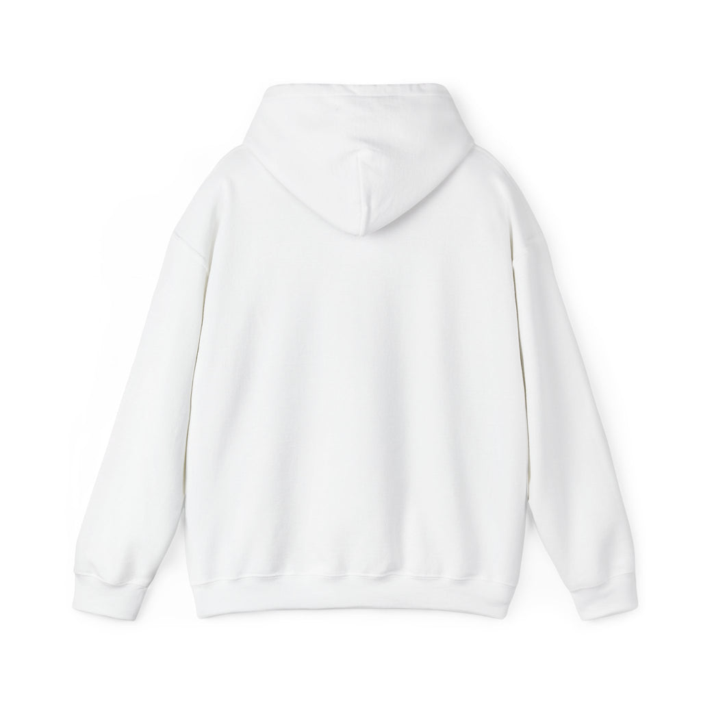 Hoodie — “Doubts Kill Dreams More Than Ever” Inspirational Motivational Pullover