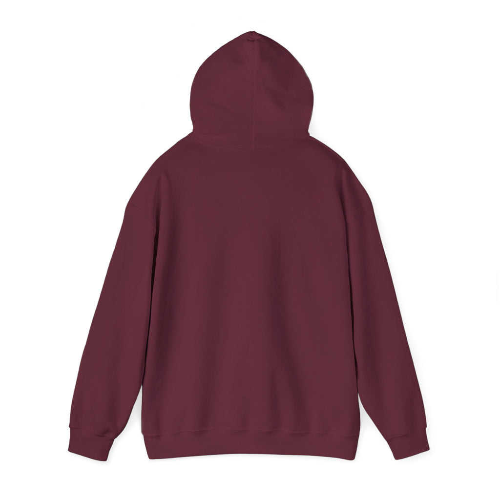 Hoodie — 'Ain't No Choice' Retro Fist Protest Graphic Pullover