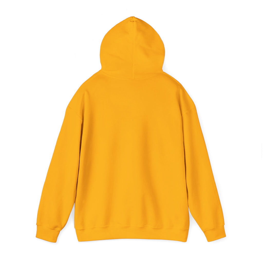 Three-Panel Fleece Hoodie