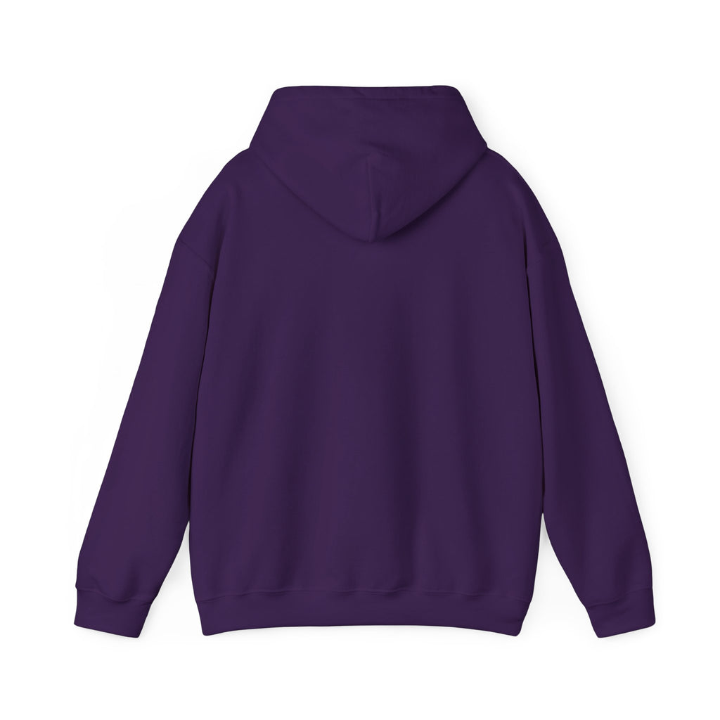 Three-Panel Fleece Hoodie