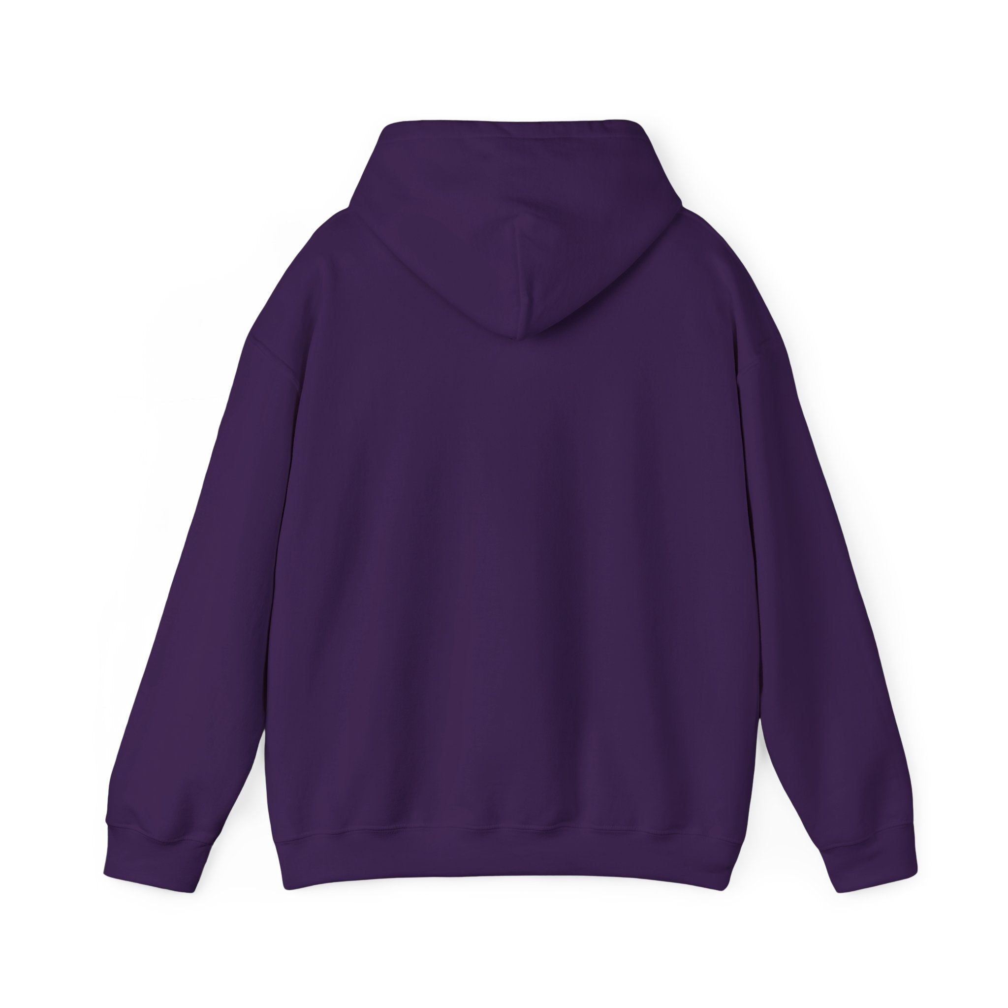 Three-Panel Fleece Hoodie