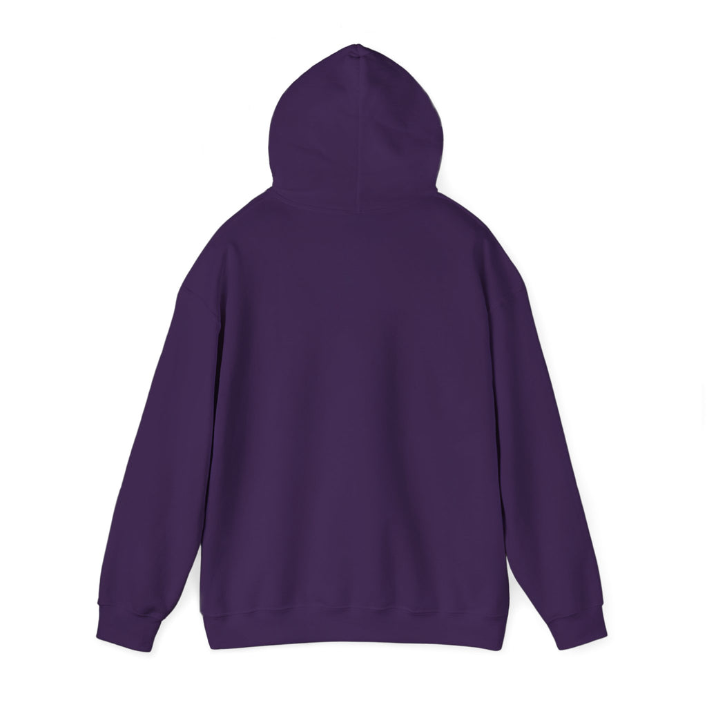 Three-Panel Fleece Hoodie