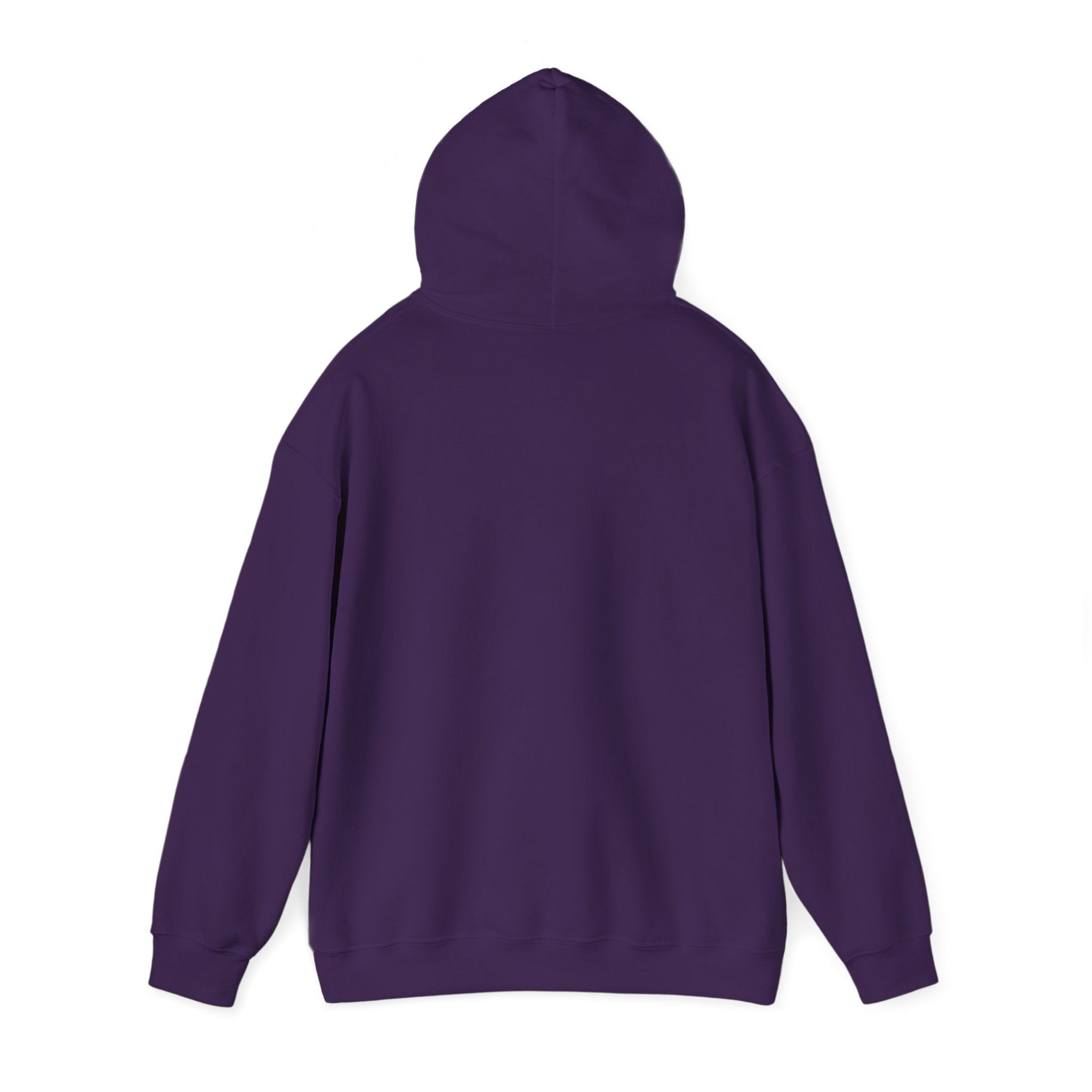 Three-Panel Fleece Hoodie