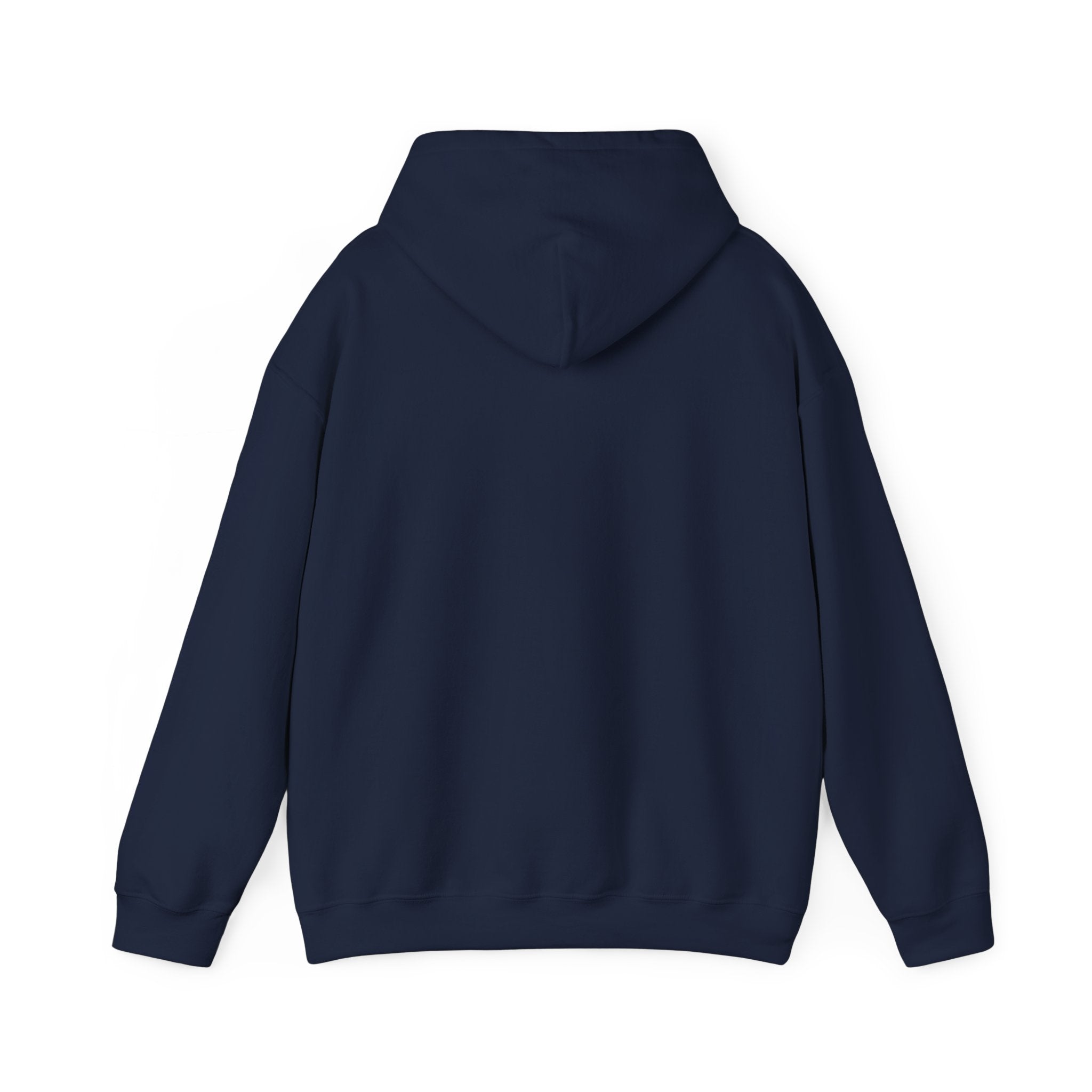 Hoodie — 'Ain't No Choice' Retro Fist Protest Graphic Pullover