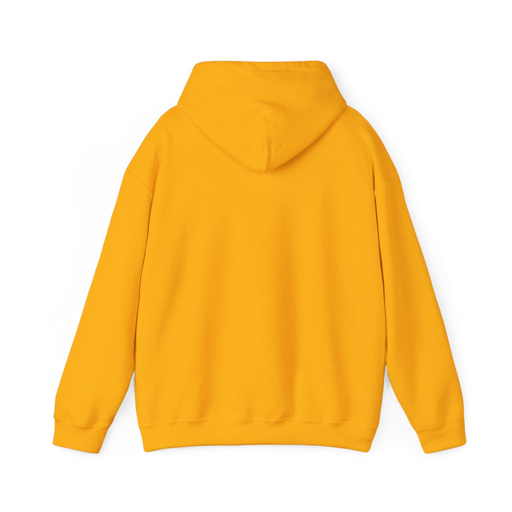 Three-Panel Fleece Hoodie