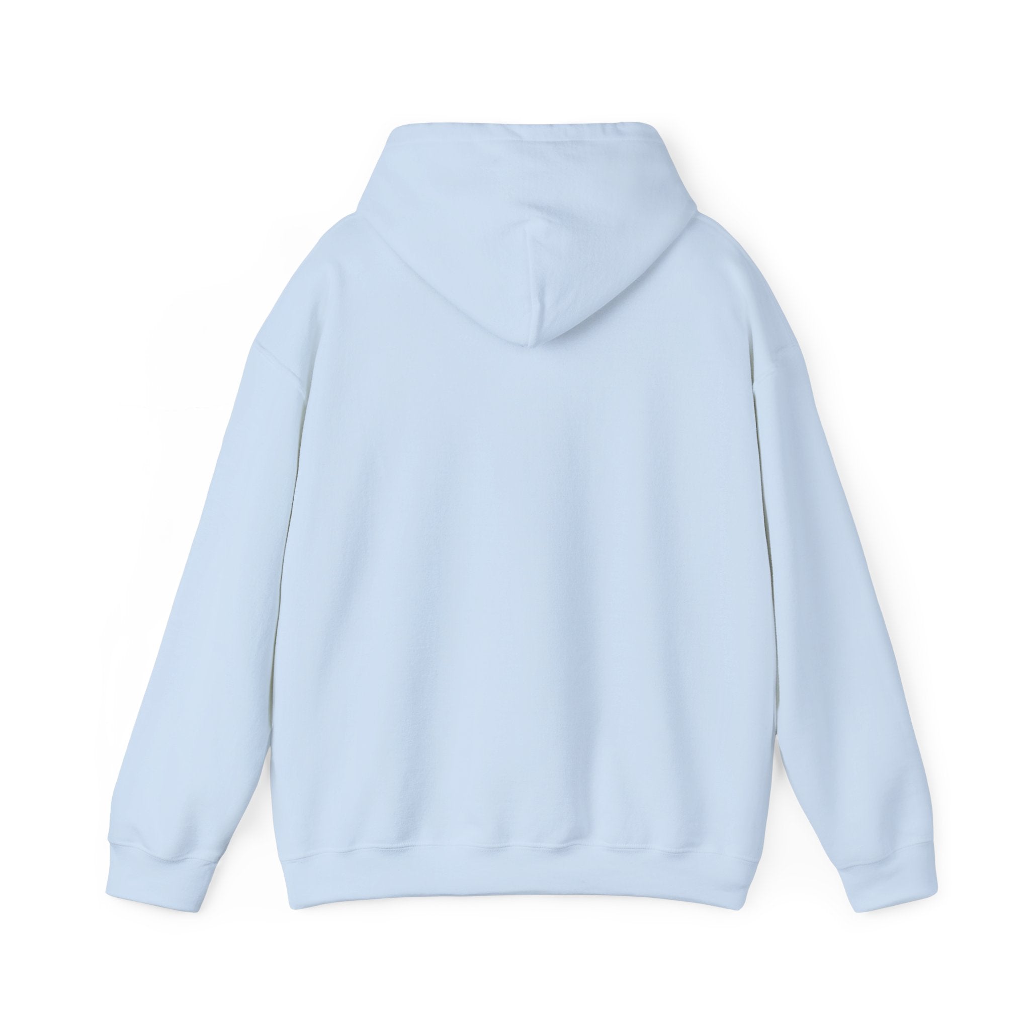 Hoodie — “Doubts Kill Dreams More Than Ever” Inspirational Motivational Pullover