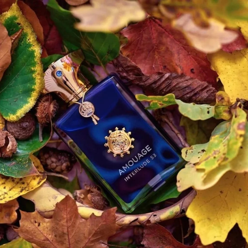 100ml Men’s Woody Fragrance Long Lasting Fresh Warm Scent with Aromatic Oriental Notes Elegant Niche Perfume Multiple Variants