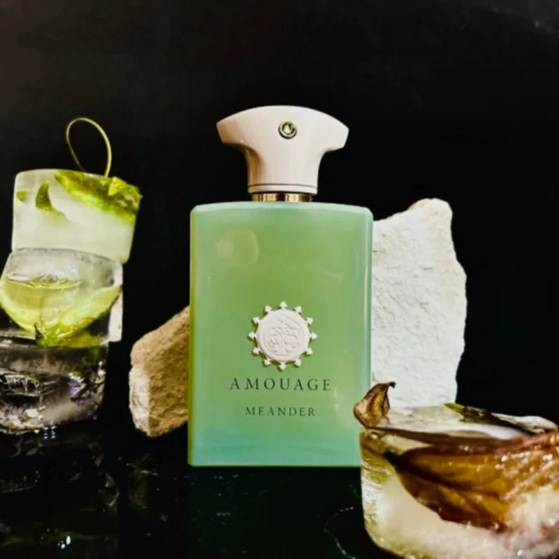 100ml Men’s Woody Fragrance Long Lasting Fresh Warm Scent with Aromatic Oriental Notes Elegant Niche Perfume Multiple Variants